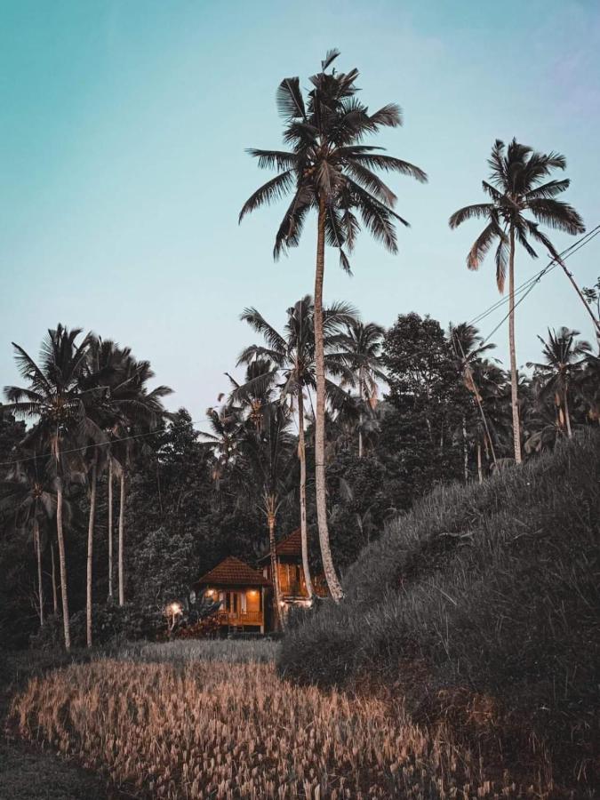 Uma D'Nyuh Homestay Singaraja エクステリア 写真