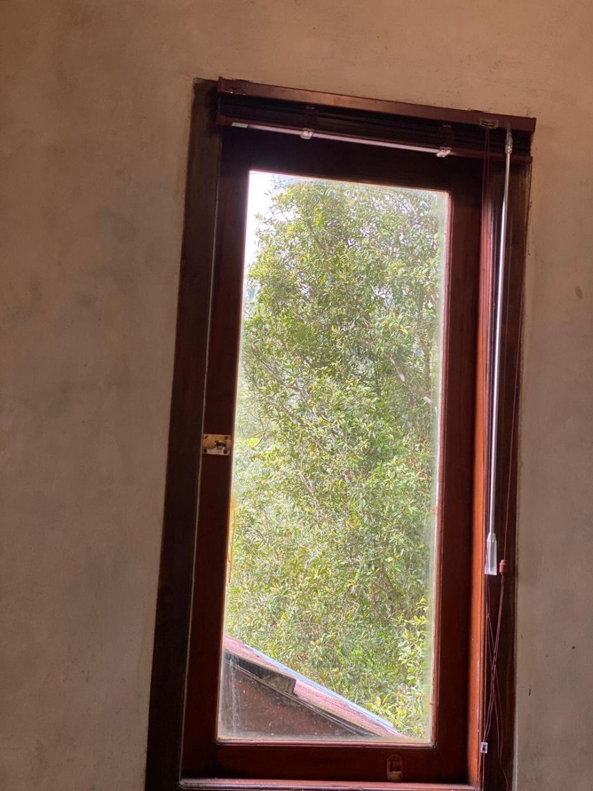 Uma D'Nyuh Homestay Singaraja エクステリア 写真