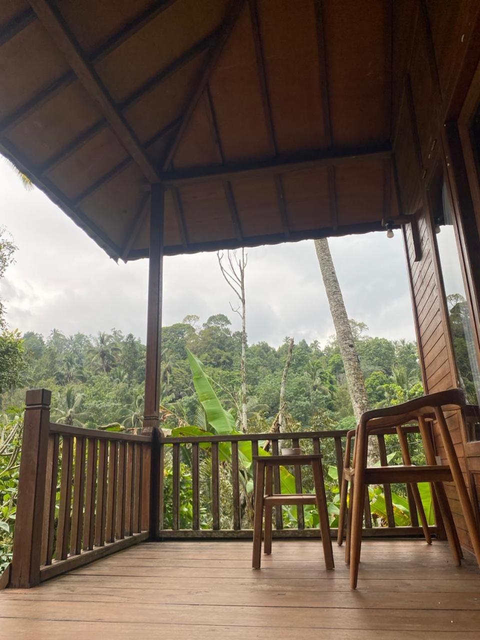 Uma D'Nyuh Homestay Singaraja エクステリア 写真
