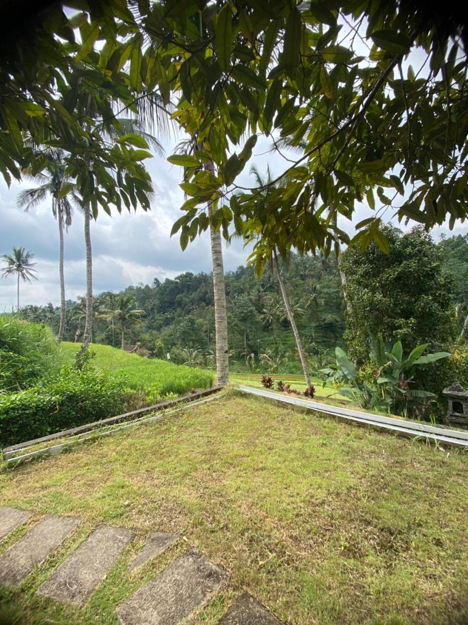 Uma D'Nyuh Homestay Singaraja エクステリア 写真