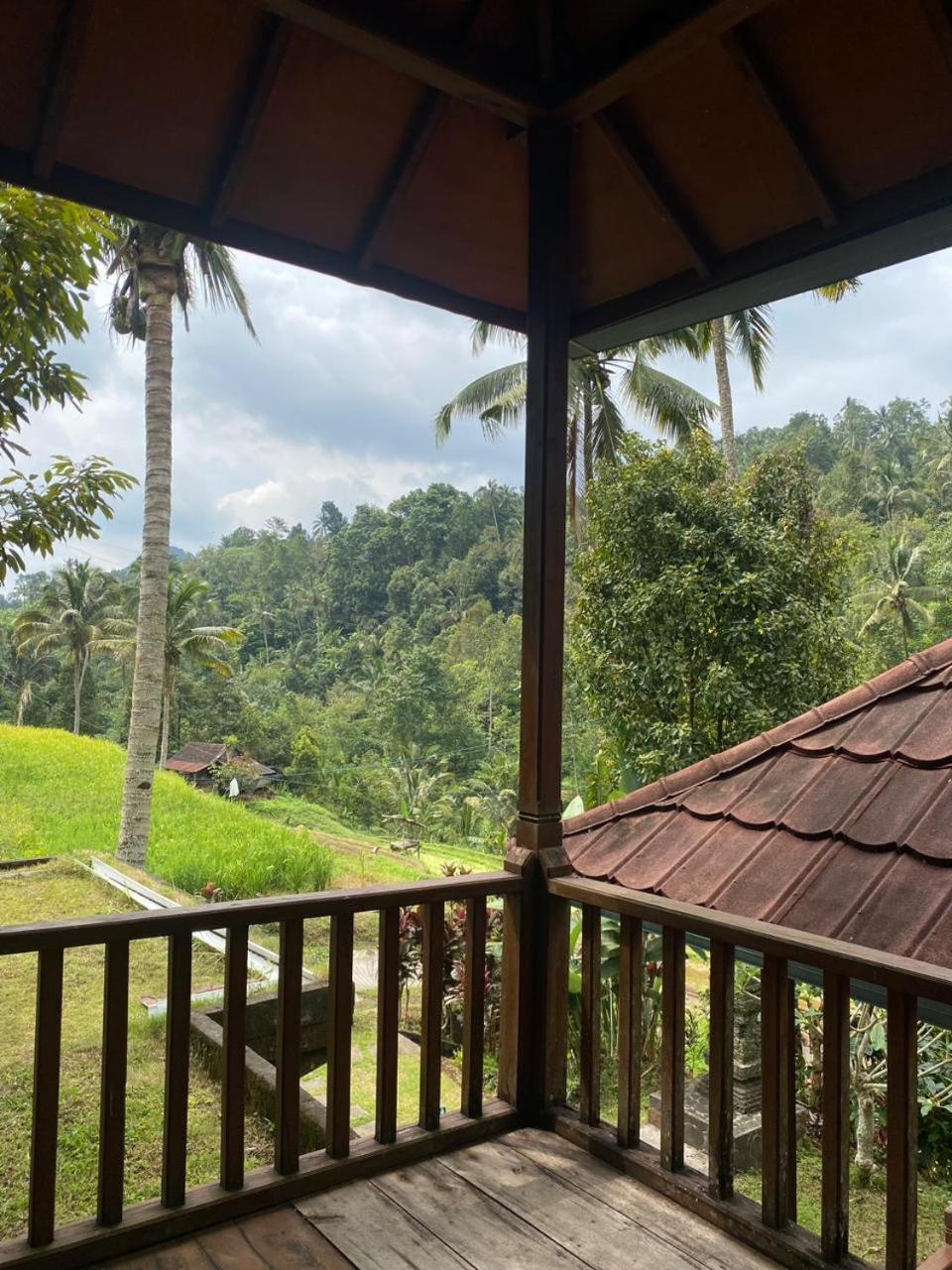 Uma D'Nyuh Homestay Singaraja エクステリア 写真